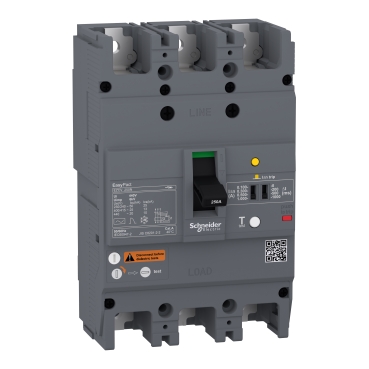 EZCV250N3100